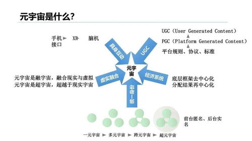 清华大学2021元宇宙研究报告 医学研究与试验发展的新前沿