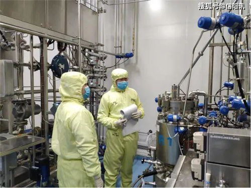 英雄武汉有序重启 科研镜头聚焦医学研发新篇章